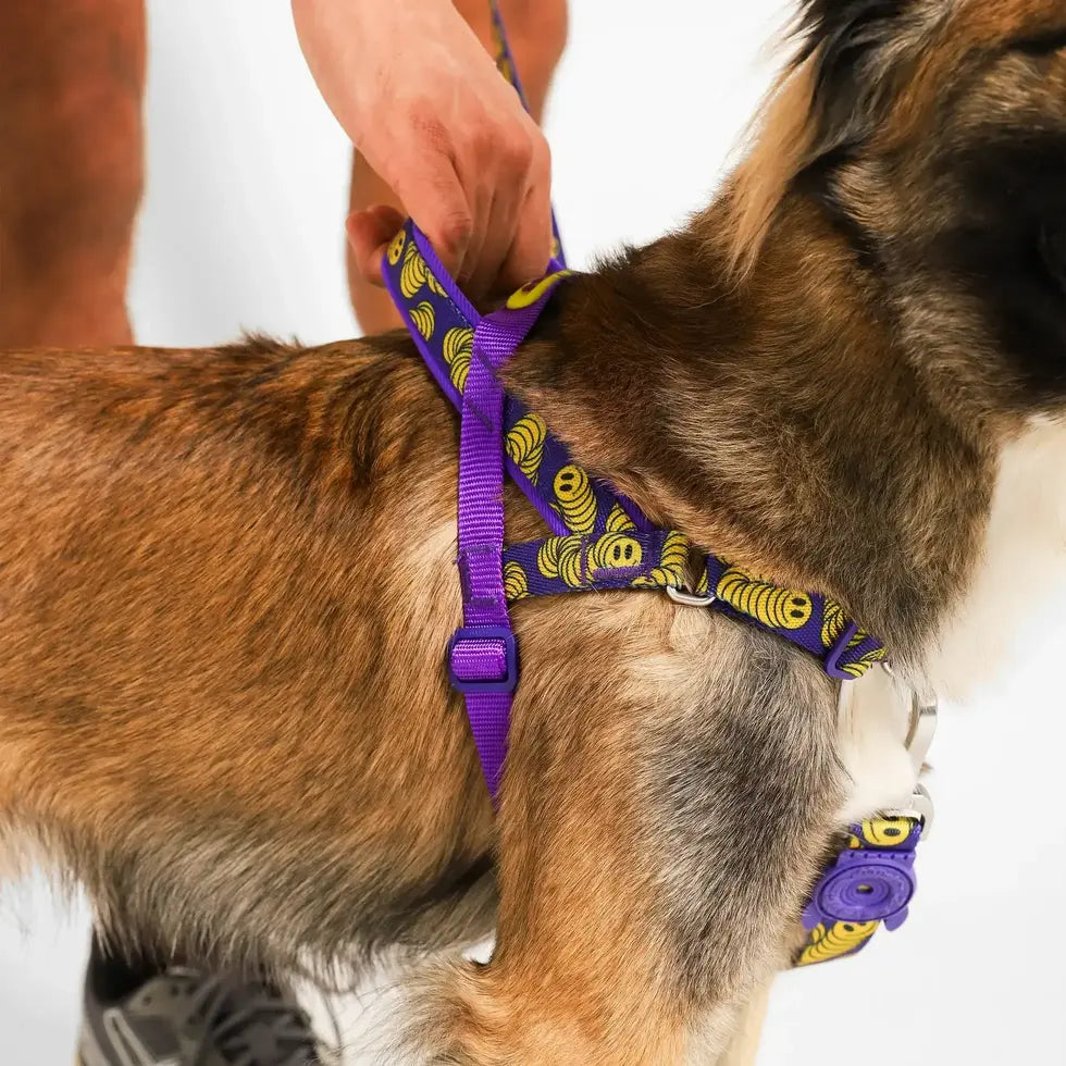 Zee.Dog Lords of Zee.Town SofterWalk Harness - Zmiley